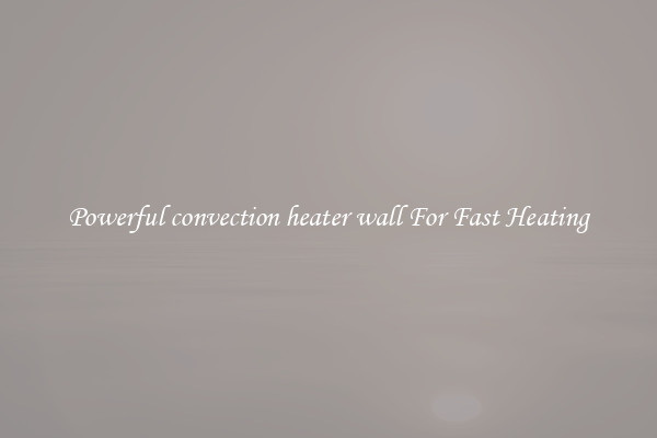 Powerful convection heater wall For Fast Heating