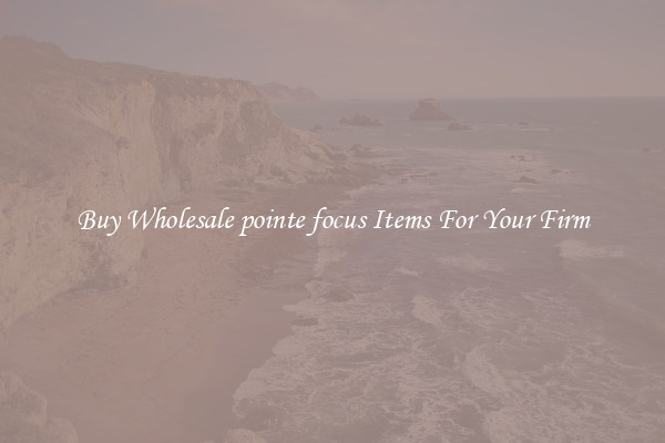 Buy Wholesale pointe focus Items For Your Firm