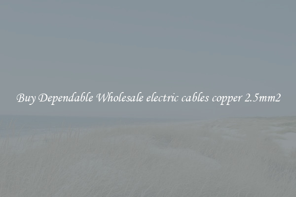 Buy Dependable Wholesale electric cables copper 2.5mm2