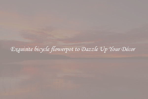 Exquisite bicycle flowerpot to Dazzle Up Your Décor  