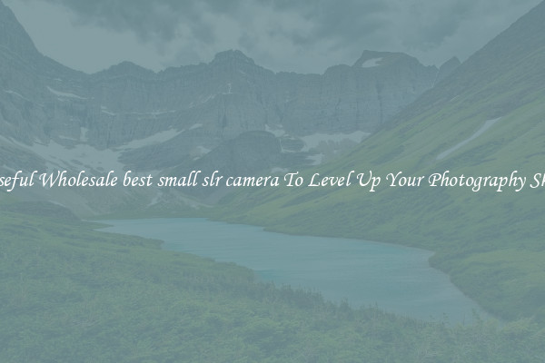 Useful Wholesale best small slr camera To Level Up Your Photography Skill