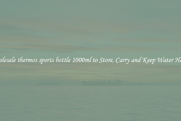 Wholesale thermos sports bottle 1000ml to Store, Carry and Keep Water Handy
