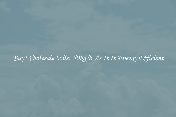 Buy Wholesale boiler 50kg/h As It Is Energy Efficient