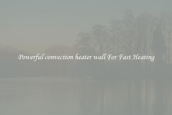 Powerful convection heater wall For Fast Heating