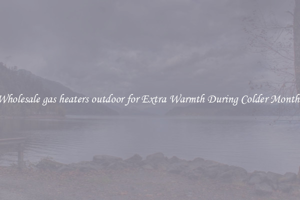 Wholesale gas heaters outdoor for Extra Warmth During Colder Months
