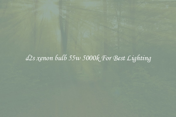 d2s xenon bulb 55w 5000k For Best Lighting