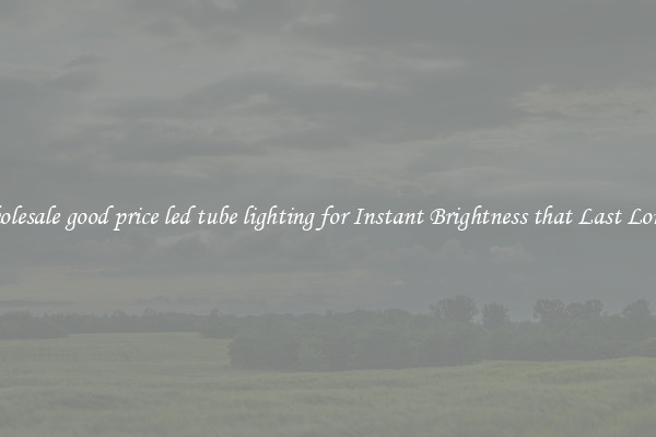 Wholesale good price led tube lighting for Instant Brightness that Last Longer