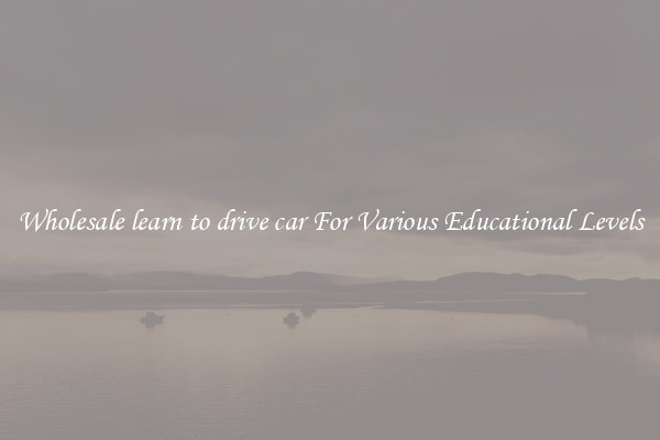 Wholesale learn to drive car For Various Educational Levels