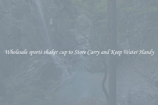 Wholesale sports shaker cup to Store Carry and Keep Water Handy