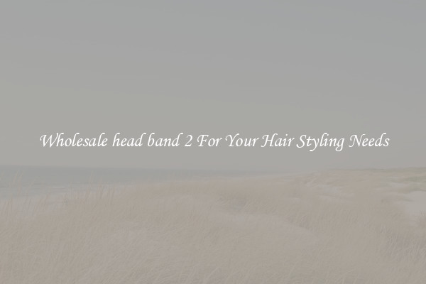 Wholesale head band 2 For Your Hair Styling Needs