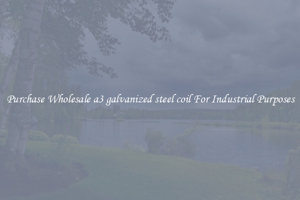 Purchase Wholesale a3 galvanized steel coil For Industrial Purposes