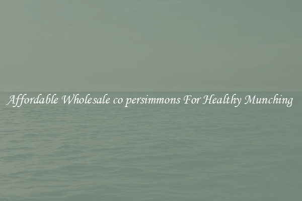 Affordable Wholesale co persimmons For Healthy Munching 