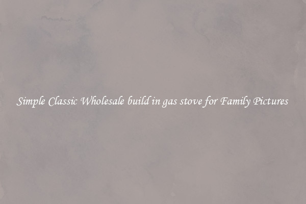 Simple Classic Wholesale build in gas stove for Family Pictures 