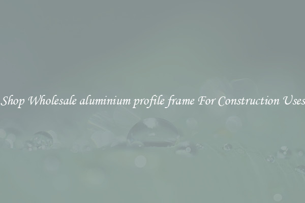 Shop Wholesale aluminium profile frame For Construction Uses