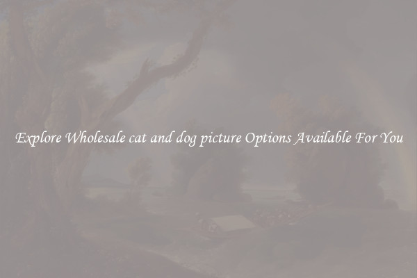 Explore Wholesale cat and dog picture Options Available For You
