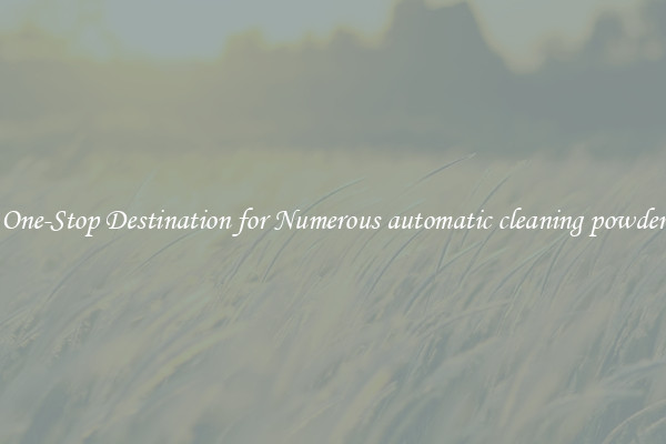 One-Stop Destination for Numerous automatic cleaning powder