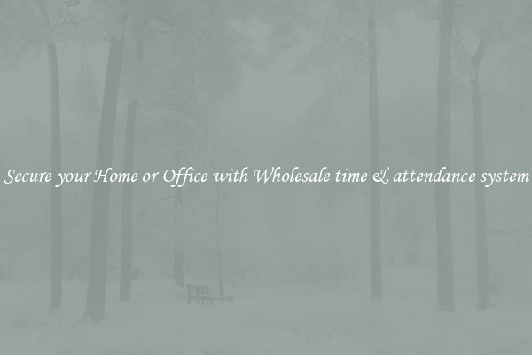 Secure your Home or Office with Wholesale time & attendance system
