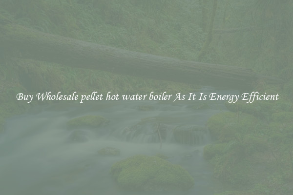 Buy Wholesale pellet hot water boiler As It Is Energy Efficient