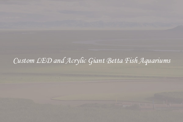 Custom LED and Acrylic Giant Betta Fish Aquariums