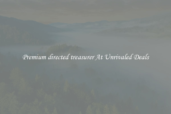 Premium directed treasurer At Unrivaled Deals