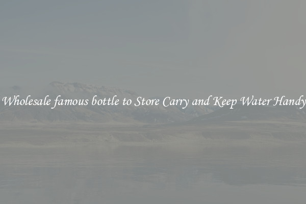 Wholesale famous bottle to Store Carry and Keep Water Handy